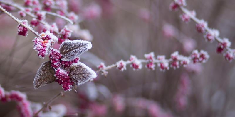 Maintain Your Independence at Home This Winter