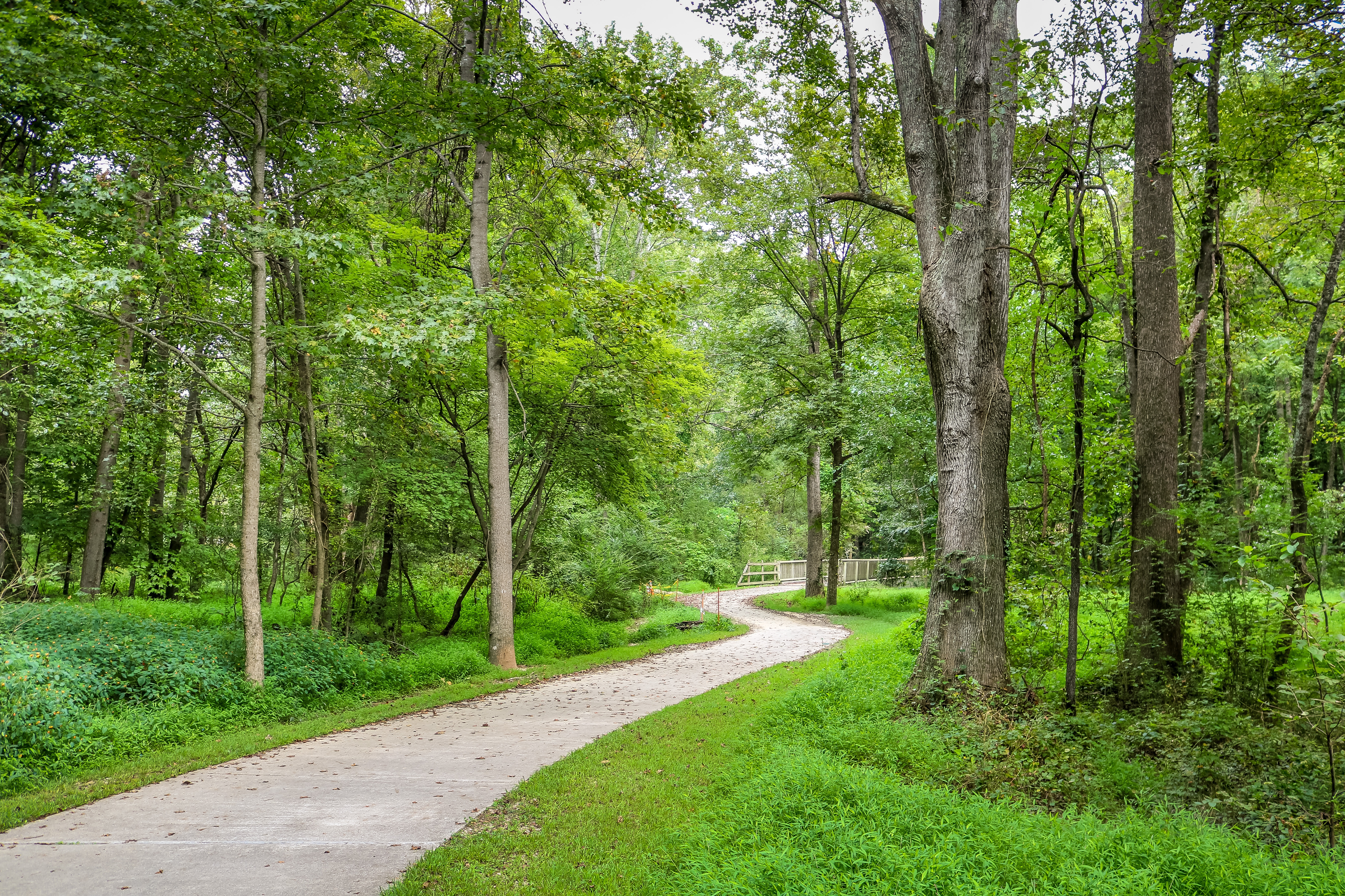 Local Trails to Take Advantage of With Limited Mobility