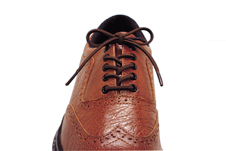 Elastic Shoelaces Image of Elastic Shoelaces product