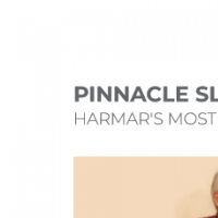Image of Harmar Summit SL600 Pinnacle Stair Lift 3 product thumbnail